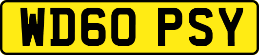 WD60PSY