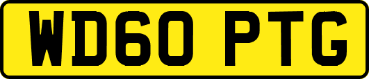 WD60PTG