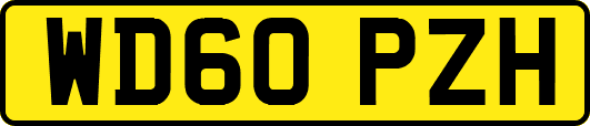 WD60PZH