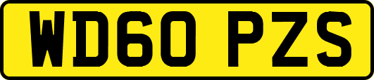 WD60PZS