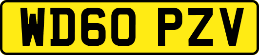 WD60PZV