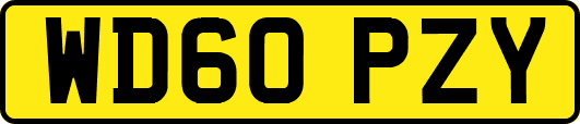 WD60PZY