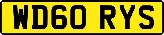 WD60RYS