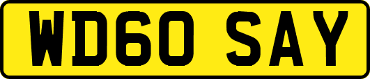 WD60SAY