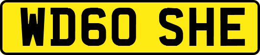 WD60SHE