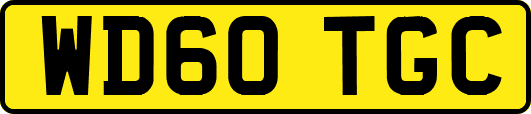 WD60TGC