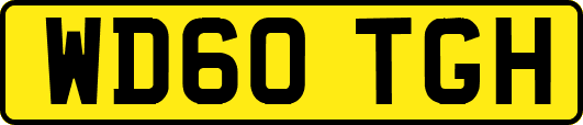 WD60TGH