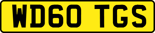 WD60TGS