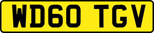 WD60TGV