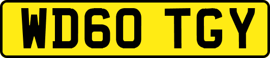 WD60TGY