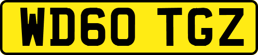 WD60TGZ