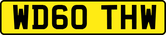 WD60THW