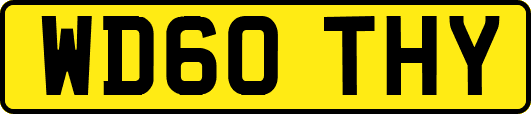 WD60THY
