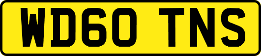 WD60TNS