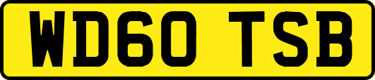 WD60TSB
