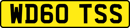 WD60TSS