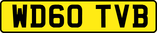 WD60TVB