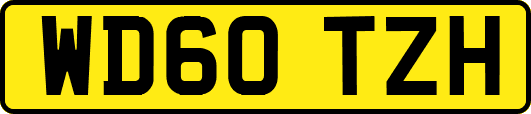 WD60TZH