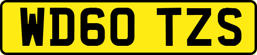 WD60TZS