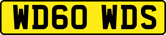 WD60WDS