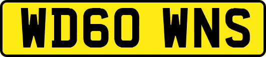 WD60WNS