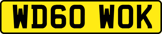 WD60WOK