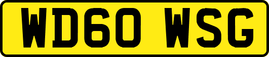 WD60WSG