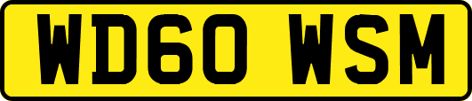 WD60WSM