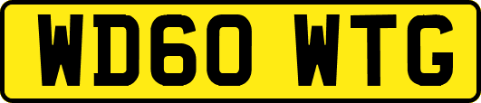 WD60WTG