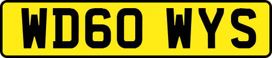 WD60WYS