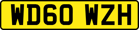 WD60WZH
