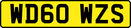 WD60WZS