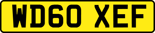 WD60XEF
