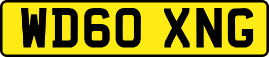 WD60XNG