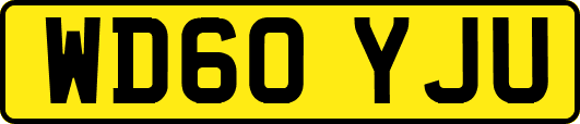 WD60YJU
