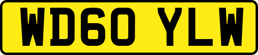 WD60YLW