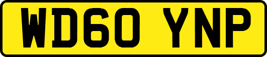 WD60YNP