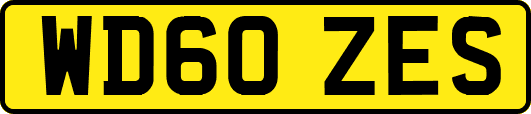 WD60ZES