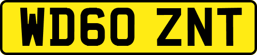WD60ZNT