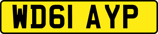 WD61AYP