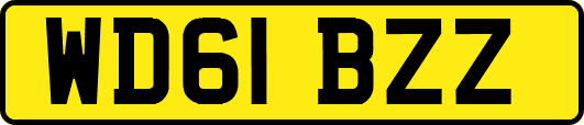 WD61BZZ