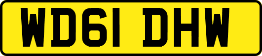 WD61DHW
