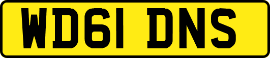 WD61DNS