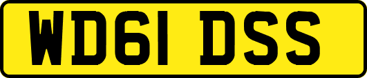 WD61DSS