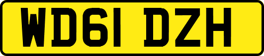 WD61DZH