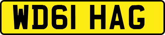 WD61HAG