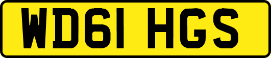 WD61HGS