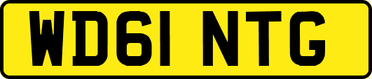 WD61NTG