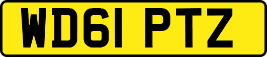 WD61PTZ