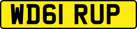 WD61RUP